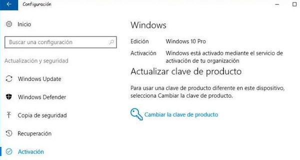 licencia windows 10 pro
