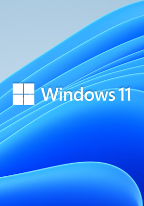 Microsoft Windows 11 Pro Retail - Agencia de desarrollo Web - EN