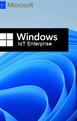 Windows 11 Enterprise IoT
