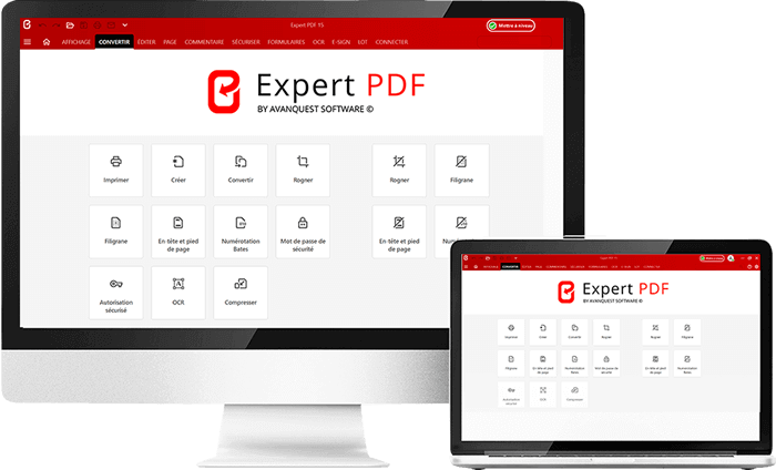 Licencia Avanquest Expert PDF 15