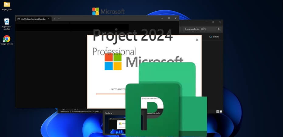 Licencia Project 2024 LTSC